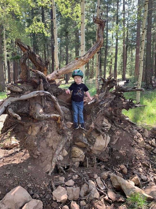 Discovering Roots Discovering Your Roots | Kristi's Morning Devotional