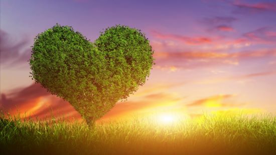 Love Wisdomtree Let’s Grow Some Fruit | Kristi's Morning Devotional