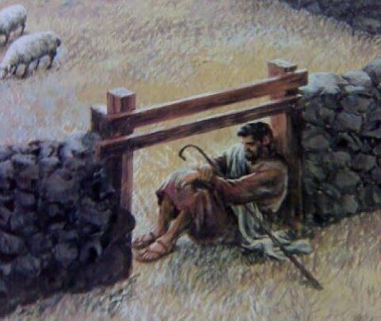 The Shepherd at the Gate | Kristi's Morning Devotional